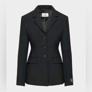 Aritzia Babaton Stand Out Blazer